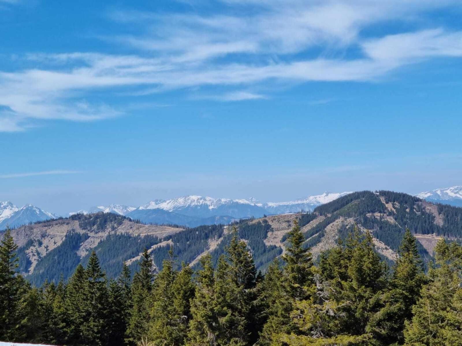 Apartments Am Kirchkogel "Laendliche Entspannung Im Herzen Der Steiermark" Pernegg an der Mur Cameră foto